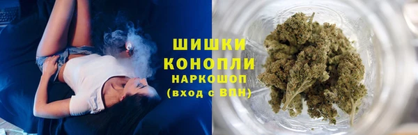 винт Богданович
