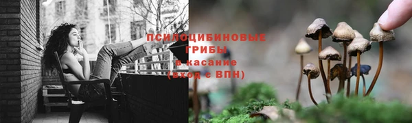 гашиш Тавда