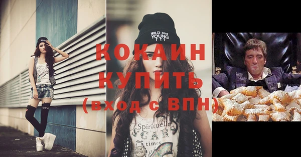 винт Богданович