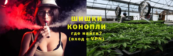 винт Богданович