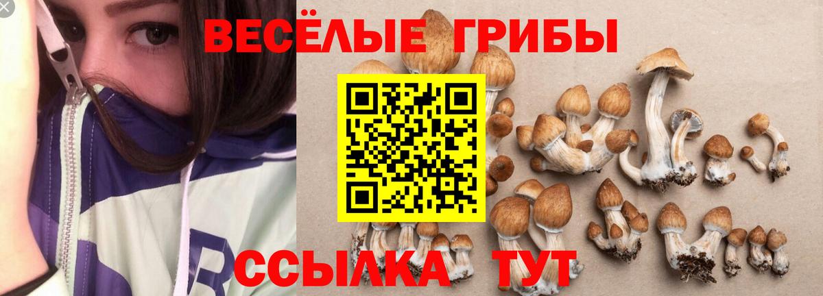 Псилоцибиновые грибы прущие грибы  Вход с VPN  Минеральные Воды 