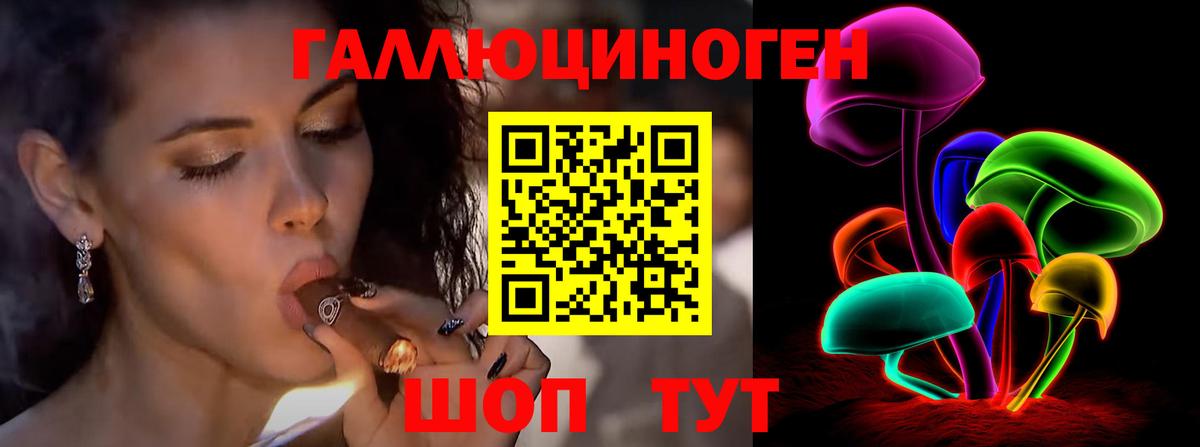 Псилоцибиновые грибы Psilocybine cubensis Минеральные Воды
